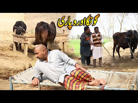 Airport Goonga Wapari | Helmet New Top Funny |   Punjabi Comedy Video 2022 | Chal TV