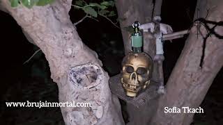 Ritual exito perfumado
