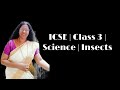 Insect Anatomy and Habitats