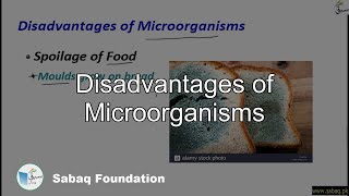 Disadvantages of Microorganisms