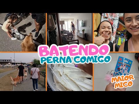 FUI NO CENTRO | LAGOA QUE TEM JACARÉ |  GELADINHO | LOJA DE FESTA | TARDE NA PISCINA