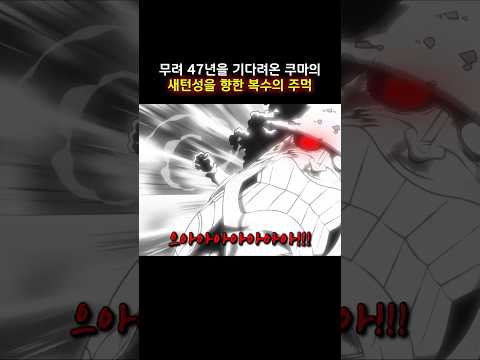 무려 47년을 기다려온 쿠마의 새턴성을 향한 복수의 주먹 #onepiece #원피스