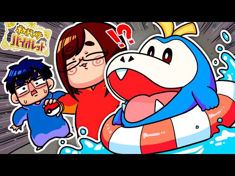 【バグ!?】「水タイプのホゲータ」と冒険に出ますwwwwwwww【ポケモンSV】