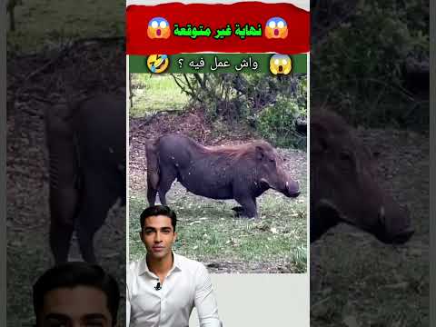 🚨لقد وجد نقطة ضعفه❌😱