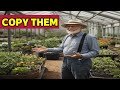 Amish Greenhouse Heating Techniques
