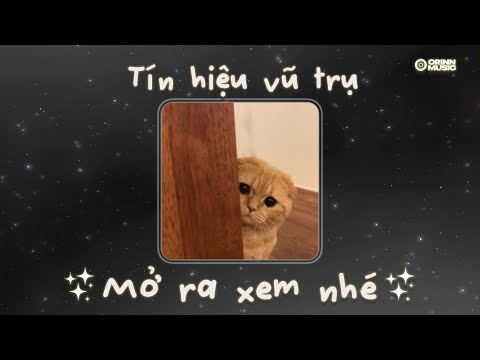 Playlist Tín hiệu vũ trụ dành riêng cho bạn.. Như anh đã thấy em, Nắng có mang em về | Speed Up Cute