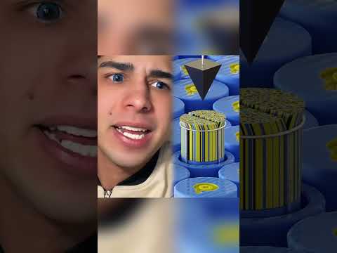 #pov  Tienes que escoger quien morira.          #parati  #fypシ  #humor  #povs  #povenespañol
