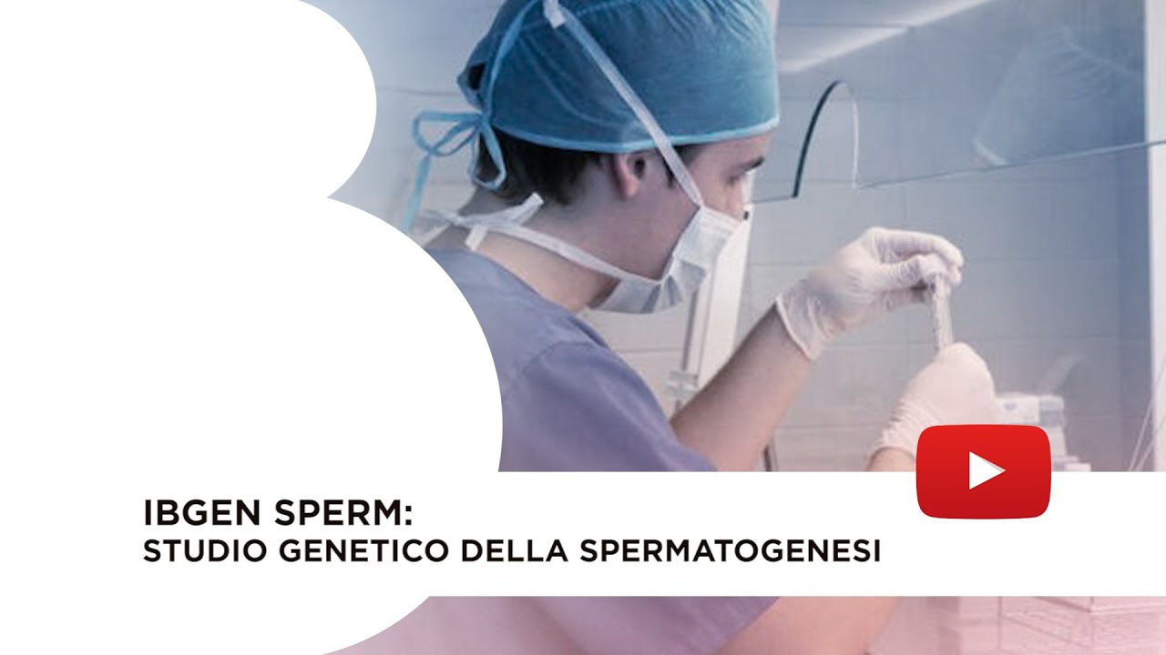 IBgen Sperm: studio genetico della spermatogenesi