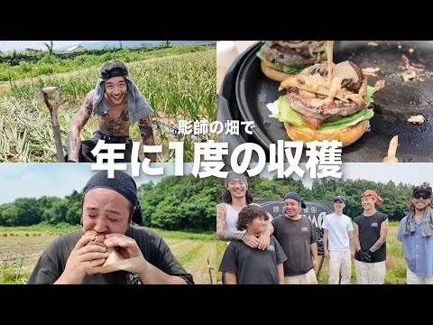 漢たちで育てたにんにくを収穫！そして食べる！【ヴィンテージ農業】