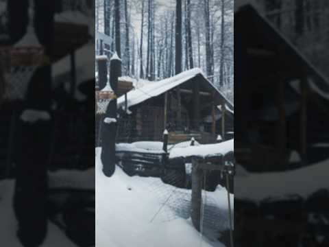 Cabin Tour #willsurvives #snow #wildernessliving #offgridcabin #diy #aloneoffgrid #cabin #winter