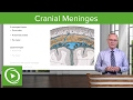 Cranial Meninges and Cerebrospinal Fluid