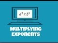 Understanding Negative Exponents in Polynomials