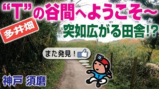 【探索ラン#25】“Ｔ”の谷間へようこそ〜《また発見》突如広がる田舎!?  ｜神戸 須磨区多井畑 〜 ここ、気持ちイイね〜‼