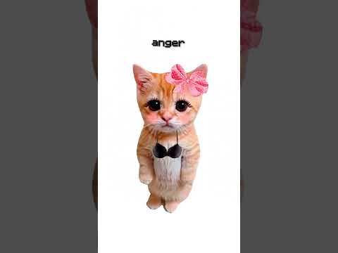 How does polygamy work? Explain with Kitties.