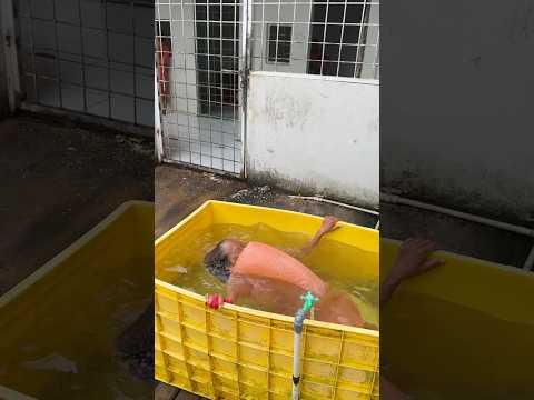 Astaga ODGJ ini berendam ditempat nyuci piring