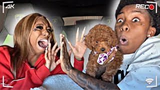 GETTING RID OF GIRLFRIEND NEW PUPPY 💔 * SHES GONE*