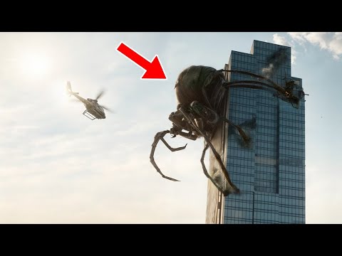 Giant Spider! World's Biggest Spider Giant Huntsman Spider