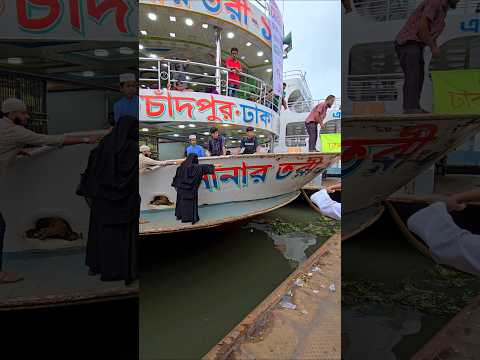 শেষ মুহূর্তে যাত্রি লঞ্চ থেকে নামার জন্য পাগল হয়ে গিয়েছে। #automobile #cargoconnect #travel #ship