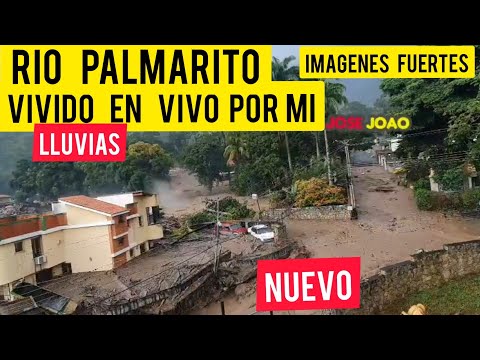 Lluvias Rio Palmarito Se Desbordo ¡Vivido En Vivo Por Mi!Rio El Castaño