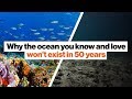 Impact of Ocean Ecosystems on Life