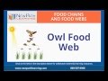 Owl Pellets and Multimedia Learning