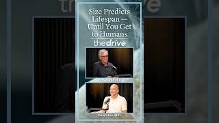Size Predicts Lifespan—Until You Get to Humans | Eric Verdi, M.D.