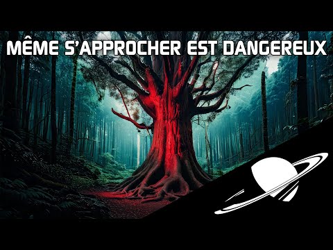 🪐L'arbre le plus dangereux du monde... se trouve en France !