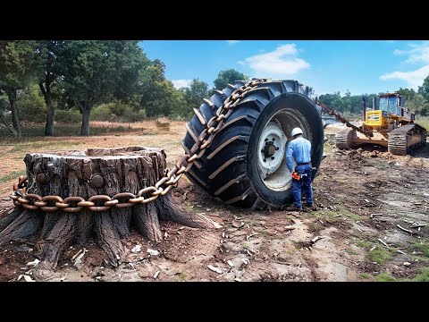 Dangerous Idiots Bulldozer Driving Skills | Best of Bulldozer & Heavy Equipment Machines Compilation