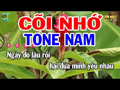 Karaoke Cõi Nhớ Tone Nam ( Em ) Nhạc Sống Mới | Karaoke Tuấn Kiệt