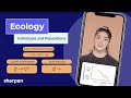 Population Dynamics and Growth Models