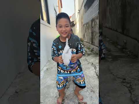 Alomali song