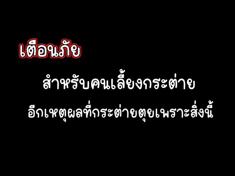 เตือนภัยคนเลี้ยงกระต่ายต้องระวัง