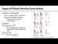 Muscle Contraction Types and Functions