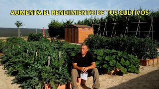 HARINA DE BASALTO - Potente Fertilizante Mineral -  Cómo Actúa en las Plantas!!