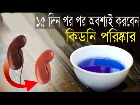 নিজেই নিজের কিডনিতে জমে থাকা ময়লা,পাথর ভেষজ উপায়ে দুর করে ফেলুন | Effective Ways to Detox Kidneys