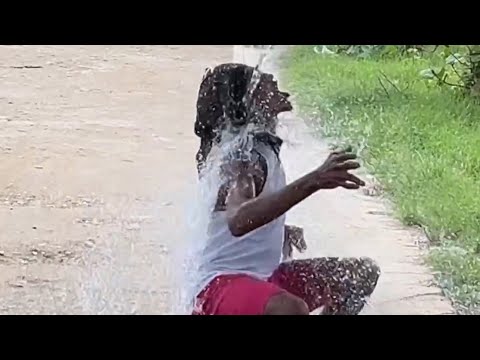 El árbol 🌳 mágico 💦💸😂🤣 #funny #viralvideo #usa