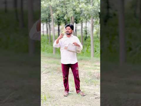 तोते की सिख ❤️😍❤️#shortsfeed #shorts #islamicvideo #islamic #motivational #trending