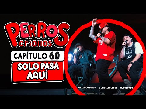 PERROS CRIOLLOS - SOLO PASA AQUÍ, CAP. 60