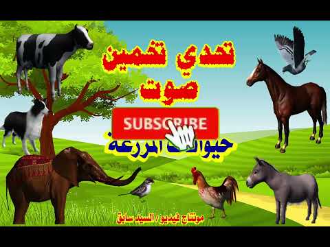 أتحداك هل يمكنك تخمين صوت الحيوان 🔊تحدي تخمين أصوات حيوانات المزرعة 🤯 مسابقة ممتعة  #تعالوا_نتعلم