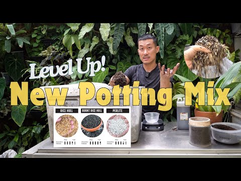 Free! 🪴 Potting Media Recipe For ULTIMATE 💪🏼 Growth | Learn EASY Fermentation + Beneficial Fungi