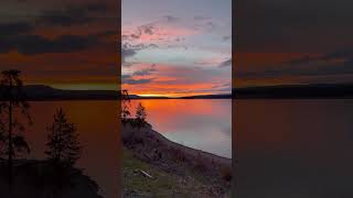 Beautiful Evening in Yellowstone #yellowstonenationalpark #yellowstonelake