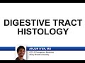 Histology Concepts and Features