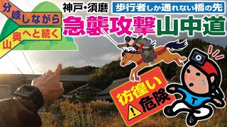 【探索ラン#65】急襲攻撃山中道・分岐しながら 山奥へと続く 〜 歩行者しか通れない橋の先｜神戸 須磨区白川