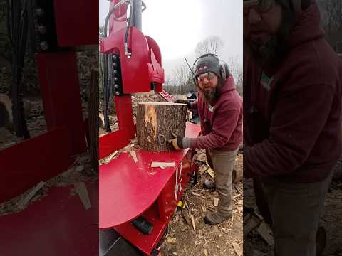 More Treasure in a Tree #smallbusiness #firewood #metal