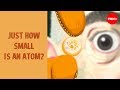 Exploring the Scale and Structure of Atoms