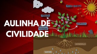 BRASILEIRO TEM QUE DEFENDER BRASILEIRO E PONTO FINAL | DIFAMAÇÃO DE BRASILEIRA NA ITÁLIA