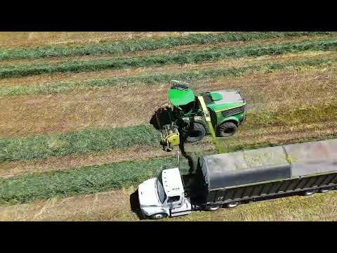 Jeff Roberts Farms. Bakersfield, California 😎 #silage #bakersfield