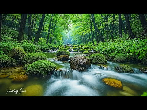 Healing Music for Inner Peace 🌿 Calm Nature Sounds for Stress Release & Deep Sleep, Relaxing Music