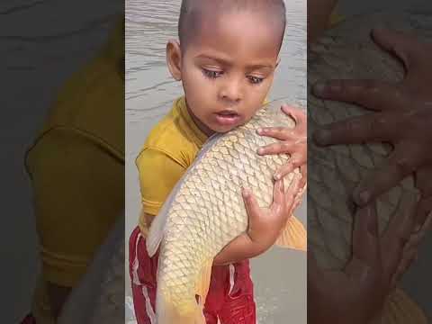 Amazing Boy Catching Fish By Hand