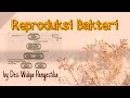 Kuis tentang Reproduksi Bakteri